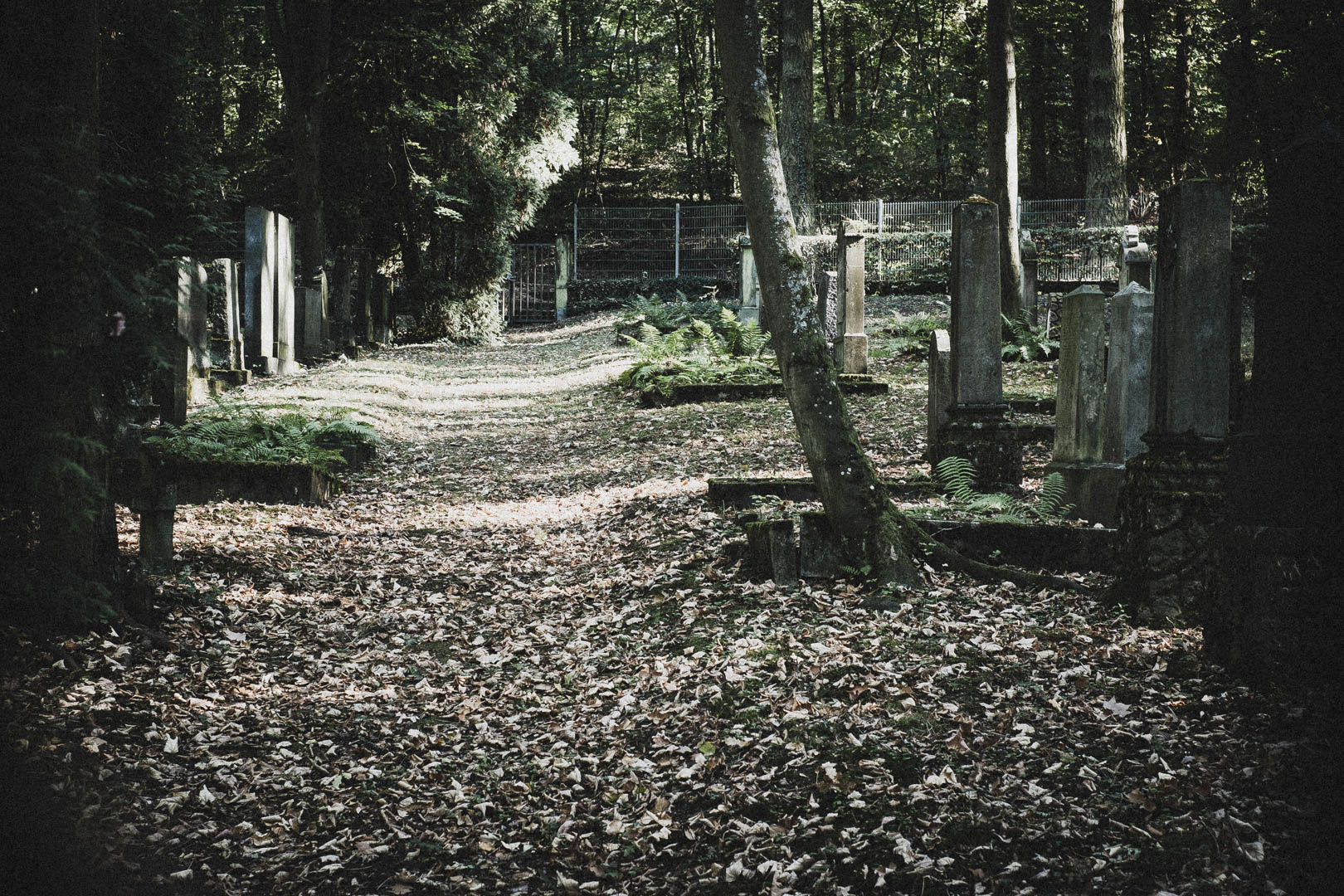 Limburg an der Lahn, Jüdischer Friedhof